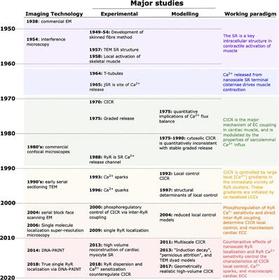 Image-Driven Modeling of Nanoscopic Cardiac Function: Where Have We Come From, and Where Are We Going?